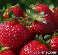 Sell strawberry