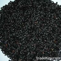 Sell Organic Black rice, Jasmine Rice, Health food