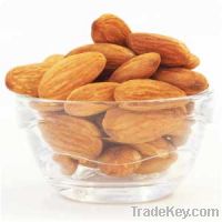 Sell Almond, Apricot Kernels