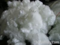 Sell Polyester Fiber , Synthetic Fiber