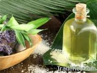 Sell Eucalyptus oil