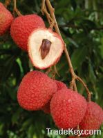 Sell lychees Fruit