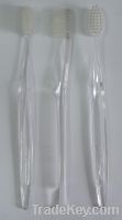 Sell clear handle tooth brush