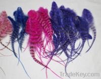 Sell Real Feather Hair Extension
