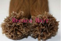 Sell v-tip hair extensions, U-tip hair extension