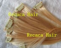 Brazilian Remy Clip in Hair Extension 5A Top Quality