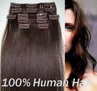 sell clip in hair extensions high quality human hair extension