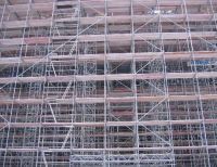 Sell Full radiate pine LVL scaffold board