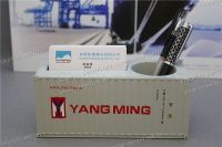 Scale Shipping Container Model, Yangming