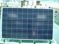 Sell 230w poly solar panel, TUV MCS CEC high efficiency