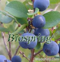 Sell blueberry extract