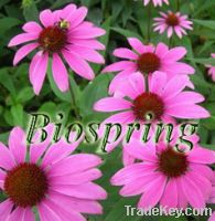 Sell echinacea herb extract