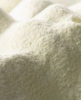 Skimmed Milk Powder