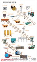 Sell Autoclaved fly ash brick production line/aac block