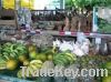 Agricultural Products For Sale & Supply