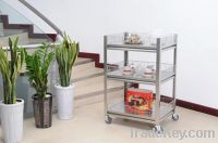 Stainless Steel Trolley