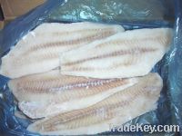 Sell Haddock Fillet