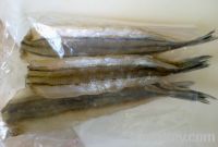 Sell Dried Needle Fish