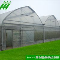 Sell Multi-span Greenhouse