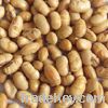 Salt and roasted soy beans