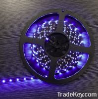 Sell led strip rgb