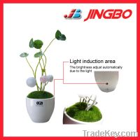 led sensor lamp JB-CGY 072