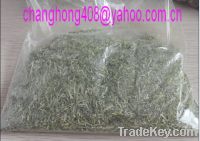 Sell  alfalfa powder /meal with a high protein