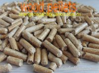 Sell wood pellets(shaving)