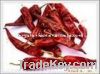 Sell American red chilli