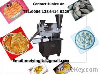 Sell dumpling machine