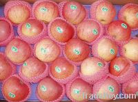 Sell Fresh Qinguan Apple