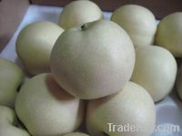 Sell Fresh Emerald Pears