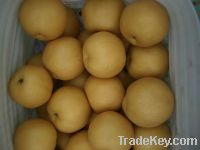 Sell Fresh Fengshui Pear