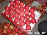 Sell Pink Lady Apple