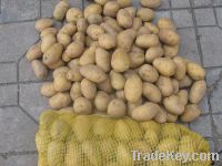 Sell Potatoes