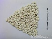 SELL medium white kidney beans