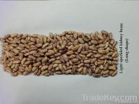 SELL light speckled kidney beans
