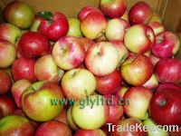 Sell Chinese jiguan apple