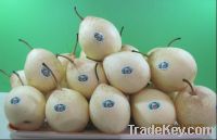 Sell fresh pear