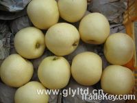 Sell fresh pear crown