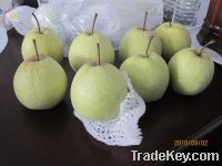 Sell Chinese su pear