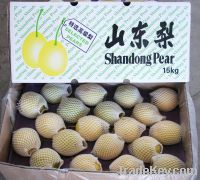 Sell shandong pears