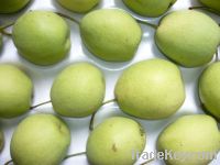 Sell Chinese shandong pear