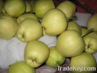 Sell fresh early su pear