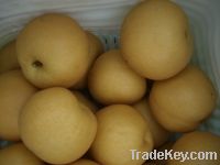 Sell fresh fengshui pear