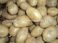 SELL long shape potato 150g up