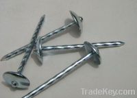 Sell umbrella head roofing nails