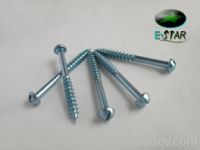 Sell cross pan selftapping screw.