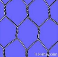 Sell Hexagonal Netting
