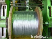 Sell Galvanized and Patented Wire for Redrawing